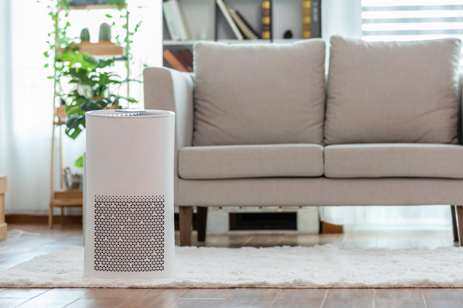 air purifier